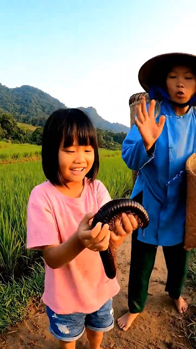 Big millipede! #shorts