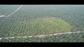 PENERAPAN SISTEM INFORMASI GEOGRAFIS DI PERKEBUNAN