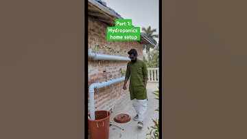 Part 1 : Hydroponics technique #terracegarderning #hydroponics #plants #aquaponics