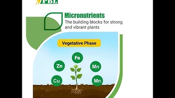 Required Micronutrients in Plants - Peptech Biosciences
