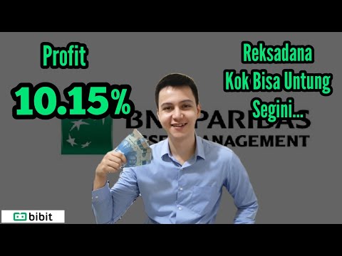 REVIEW REKSADANA BNP PARIBAS SRI KEHATI || REVIEW REKSADANA BIBIT