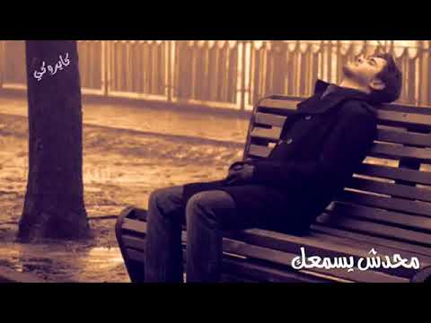 ويوم ما تيجي تتكلم ماحدش يسمعك حاله واتس تامر حسني