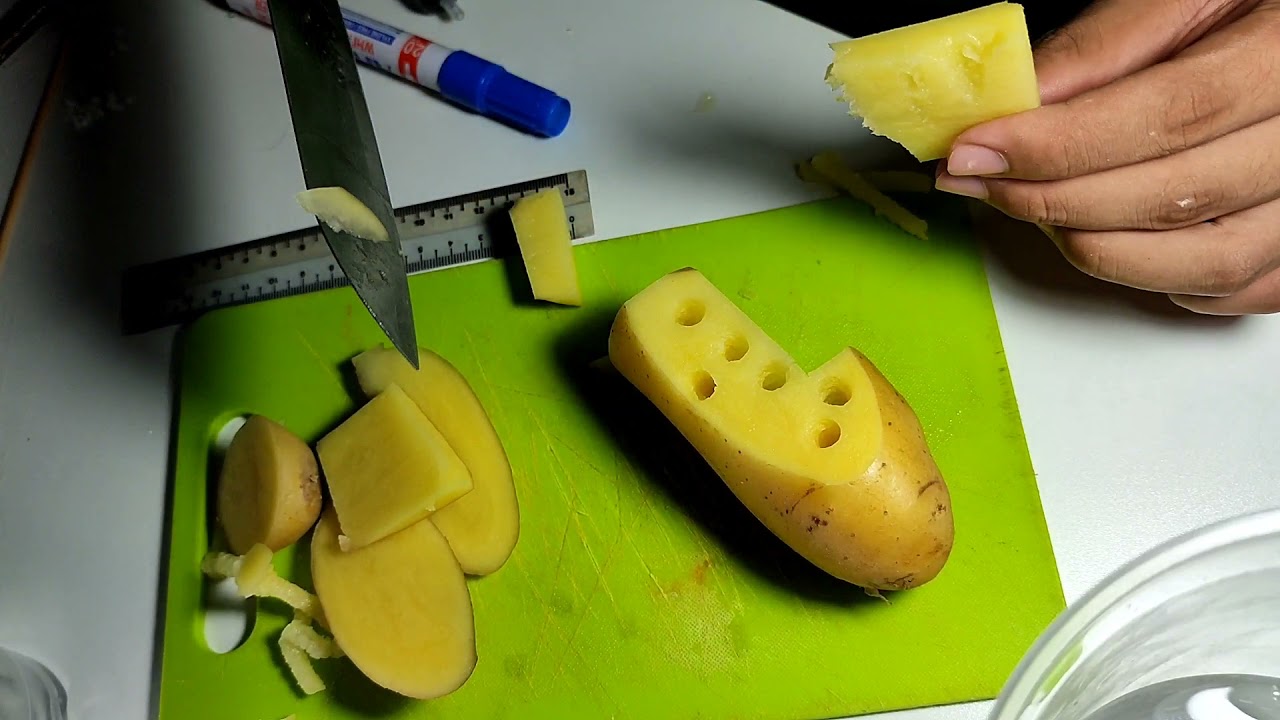 experiment 3 biology lab test YouTube