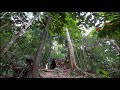 FULL VIDEO : 3 Days Solo Bushcraft & Survival, Build a Tiny House, Survival Alone in the Rainforest
