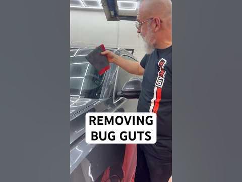 Fast bug gut removal from your windshield! - YouTube