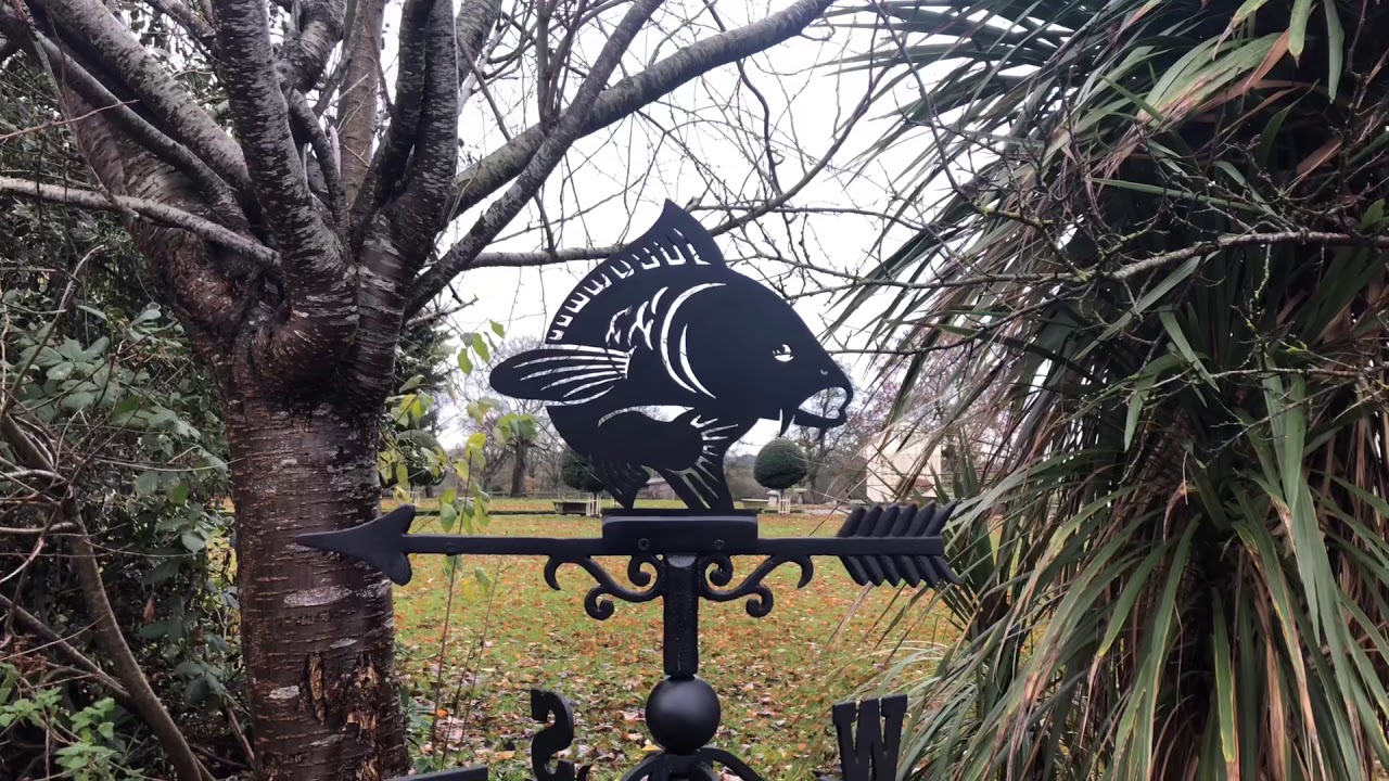 Koi Carp Fish Weathervane camera iphone 8 plus apk