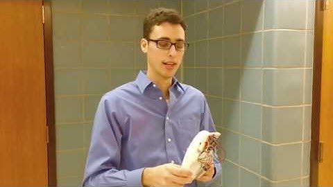 EECS 373 Project: TRON