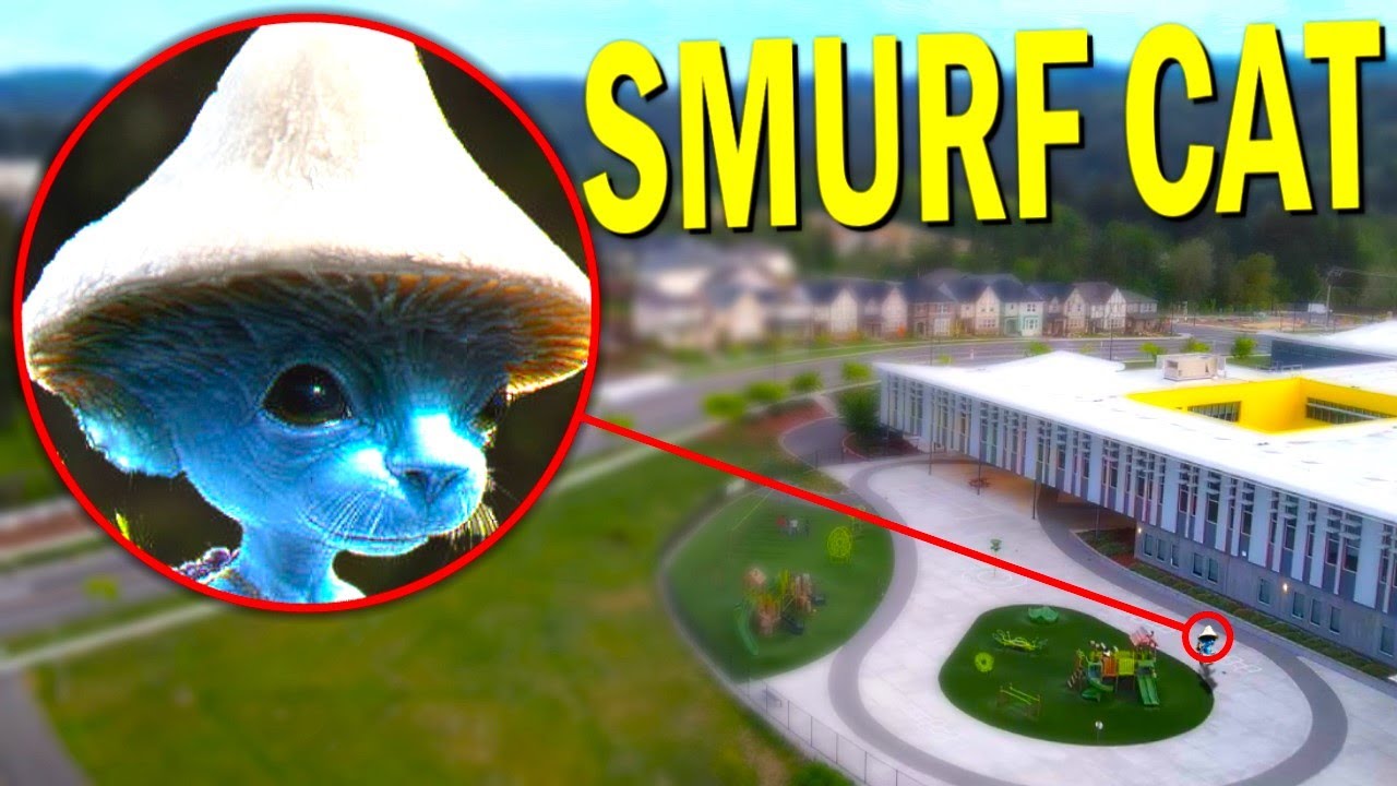 Is Smurf Cat Real In Real Life