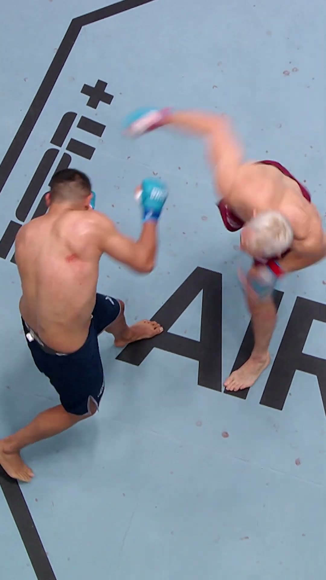 INCOMING UFC DEBUT ? #ufctampa