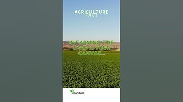 Fascinating Agriculture Fact: The Incredible World of Crop Rotation 🌾