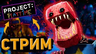 😱Projet Playtime  стримчеГ+Counter Strike(·•᷄‎ࡇ•᷅ )