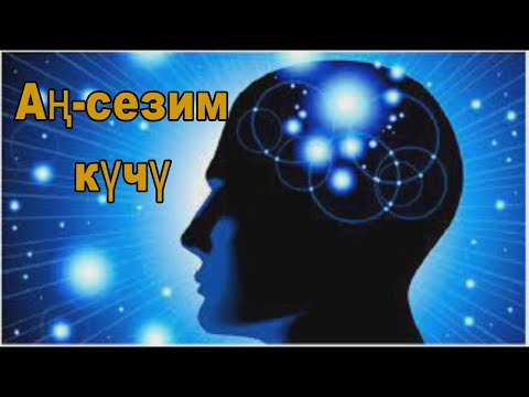 Video: Аң-сезимди кантип иштетсе болот