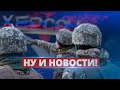 ВСУ подошли к Херсону / Ну и новости!