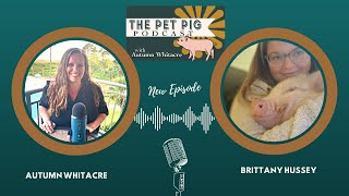 My Dog Attacked my Pig! - With Britany Hussey by Autumn Acres Mini Pet Pigs 75 views 2 months ago 27 minutes