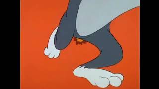 The Tom and Jerry Comedy Show 1980 theme song ( high quality)