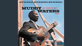 Video voorbeeld van "Muddy Waters - I've Got My Mojo Working (Live At Newport Jazz Festival)"