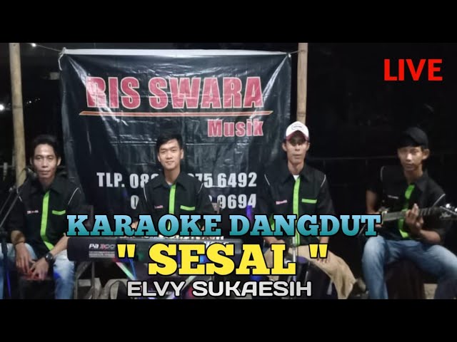 Sesal - Elvy Sukaesih - karaoke dangdut ( Cover ) class=