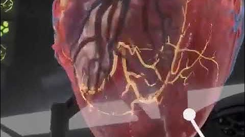 The future of the Operating Room via Augmented Reality