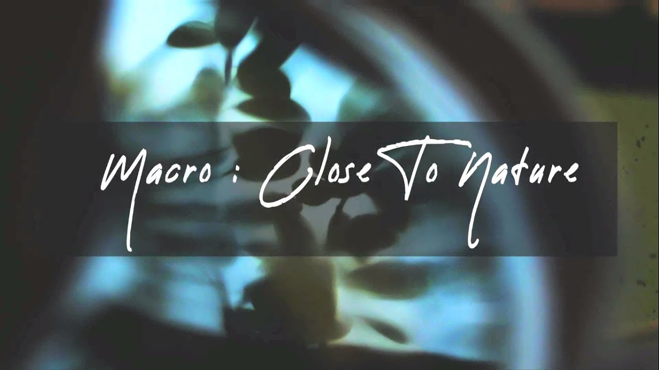 Macro : Close To Nature | Solo Cinematography | Cinematic Sequence