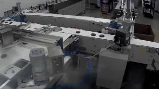 SKYWIN Automatic Horizontal/ flow packing machine for biscuit line