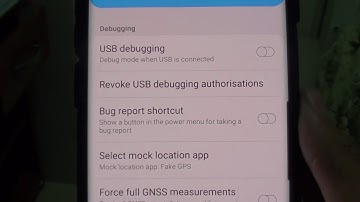Samsung Galaxy S10 / S10+: How to Enable / Disable Bug Report Shortcut