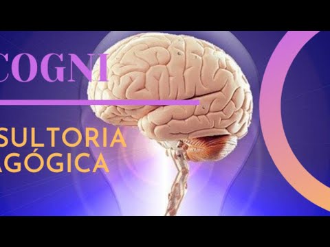 Vídeo: Anti-hipoxia - O Que São? Lista De Drogas