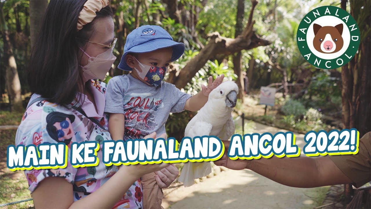 VLOG ULANG TAHUN GUE! Main ke Faunaland Ancol 2022! Si Ogie