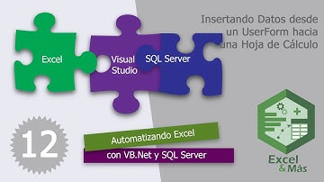 Ejercicio 12 | VB.net + Excel desde cero | Datos desde UserForms
