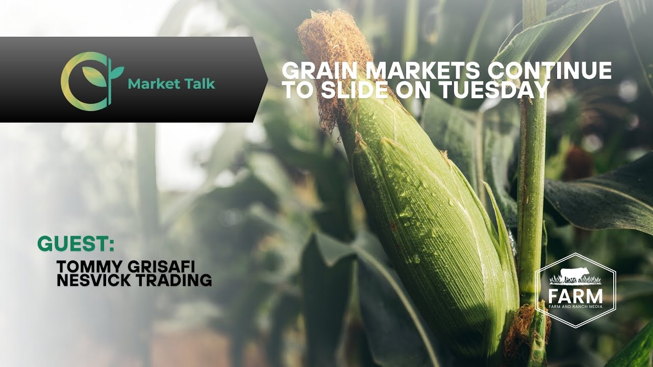 Grain Markets Continue to Slide on Tuesday Grain Markets Continue to Slide on Tuesday