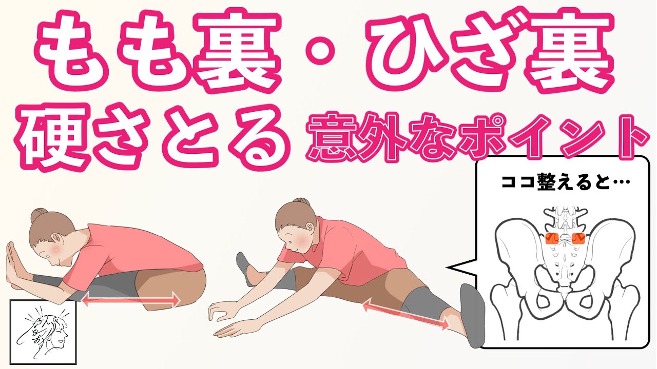 【もも裏・ひざ裏硬い】意外な原因とストレッチしやすくするポイント