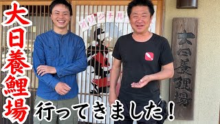 【養鯉場訪問】鯉業界の超大手大日養鯉場の施設のアレコレやイベントをご紹介♪