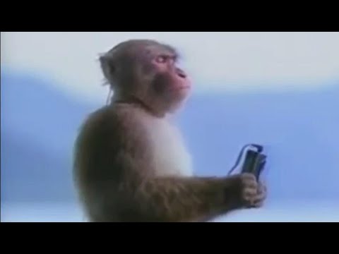 Me when this Theme and Opening start playing: