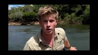 Robert Irwin moves fans to tears with his uncanny resemblance to dad Steve as he goes on a crocodile