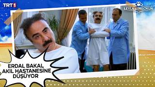 Dostonun Senaryosuna Teklif Edilen Para Erdal Bakkalı Delirtiyor. Leyla Ile Mecnun 95. Bölüm