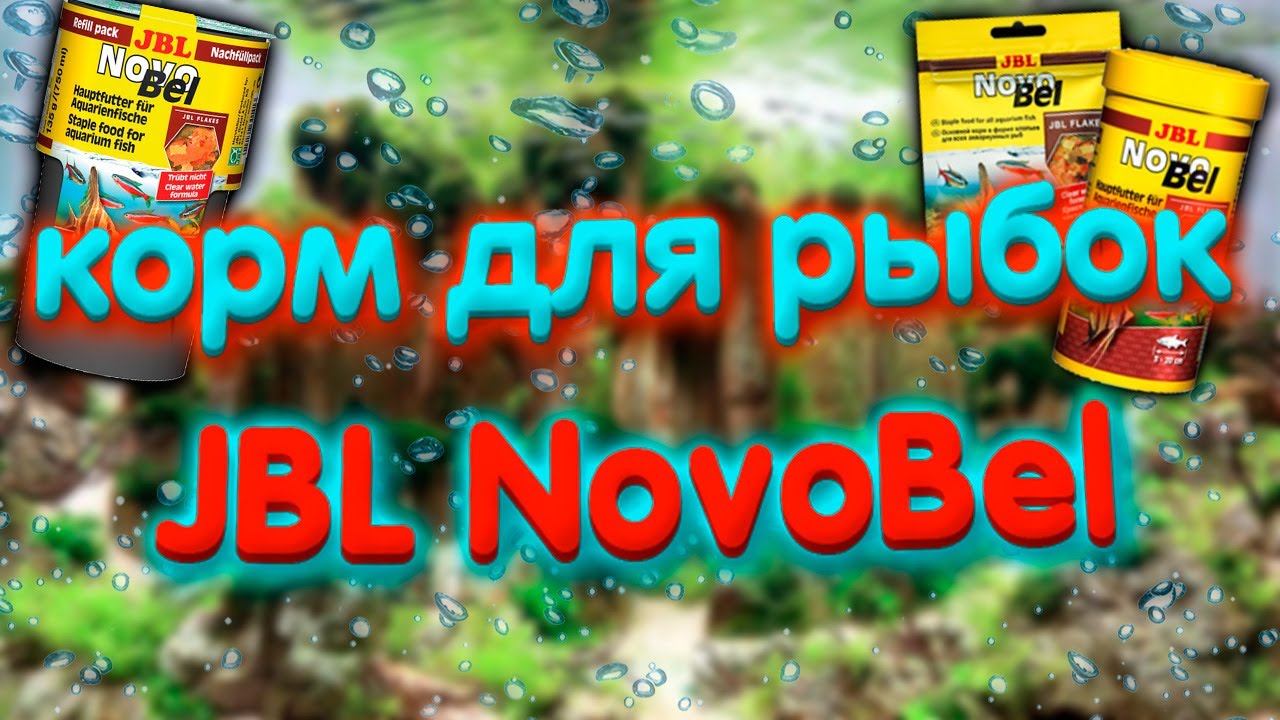 Корм для рыбок JBL NovoBel. Чем кормить аквариумных рыбок.