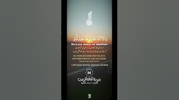 سورة الكافرون _ الشيخ محمد الفقية