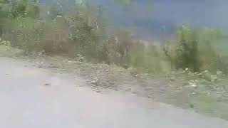 Download Lagu Muara nauli MP3