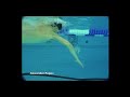 Техника плавания Фристайл Александр Попов Swimming technique Freestyle Aleksandre Popov Русский звук