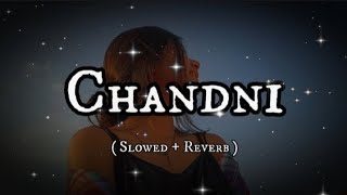 Chandni Lofi Song | Slowed+Reverb| Sachet Tandon,parampara New Hindi Song | #new #lofi #trendingsong