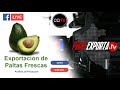 Exportaciones peruanas de Palta - 6to Programa Perú exporta TV