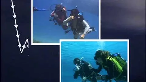 Come si fa a trattenere il respiro in acqua?