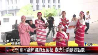 20151106 和平盛柿盟約五葉松 觀光行銷創造話題