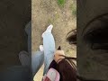 Me cayó popo de pájaro, pero en París jajaja #mexicanaeneuropa #parisvlogger #travelvlog