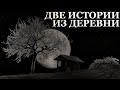 Две истории из Деревни. Рассказы Деревенских жителей.