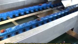 Parc Palestine - Growing Dates