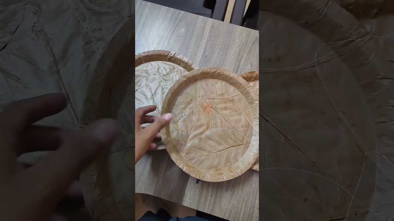 Corrugated sheet with Sal Leaves plate 