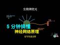 5 分钟搞懂神经网络模型--从 0 开始学习人工智能