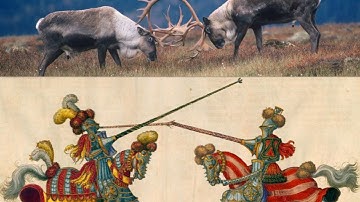 Virtual Science Cafe - Extreme Weapons: A Natural History