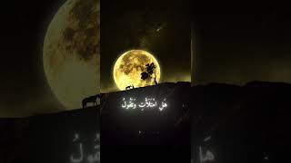 🤲Feeling stressed? Listen to this beautiful Surah and find peace in Allah's words.🌙#Hidayah #Islam