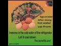 How to Boil Eggs Perfectly Every Time (Soft, Medium, or Hard!) #facts #food #didyouknow #healthyfood